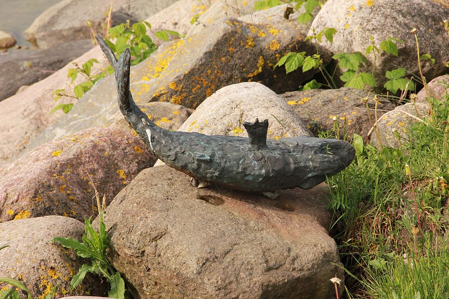 Fish, Sculpture, Artwork, Rocks, Nature, kuressaare, estonia HD wallpaper