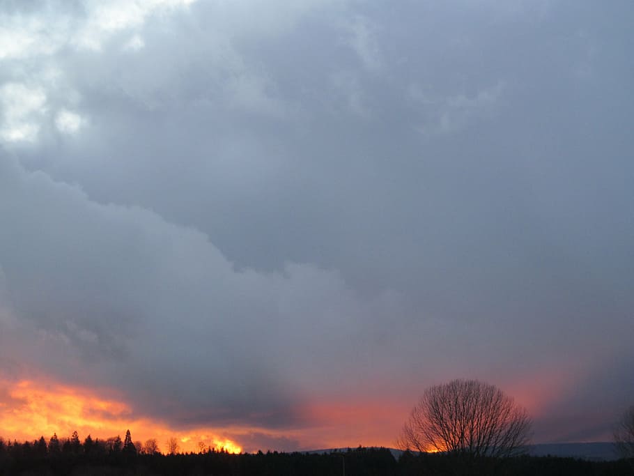 sunset, evening sky, afterglow, winter sunset, clouds, blue HD wallpaper