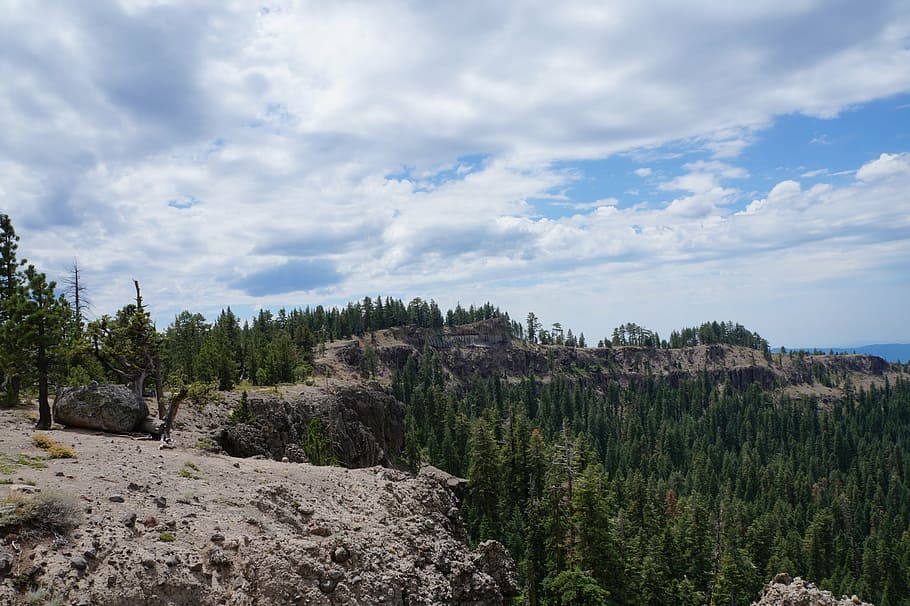 nature, forest, cliffs, landscape, outdoor, environment, natural HD wallpaper