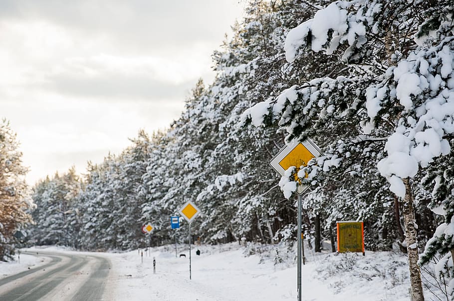 Winter road with yellow signs, landscape, nature, snow, cold - Temperature HD wallpaper