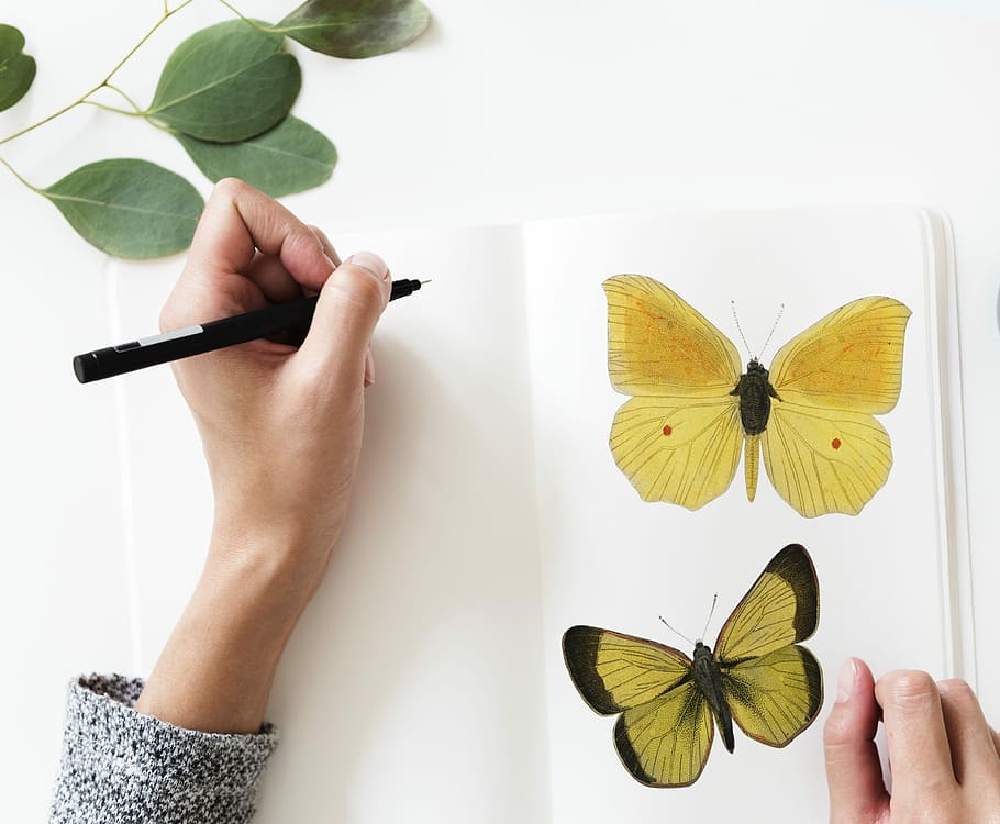 person drawing yellow butterflies, butterfly, desktop, beautiful