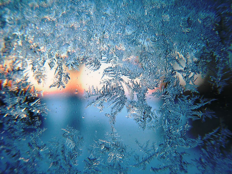 close up photo of snowflakes, frost, winter, morning, season, HD wallpaper