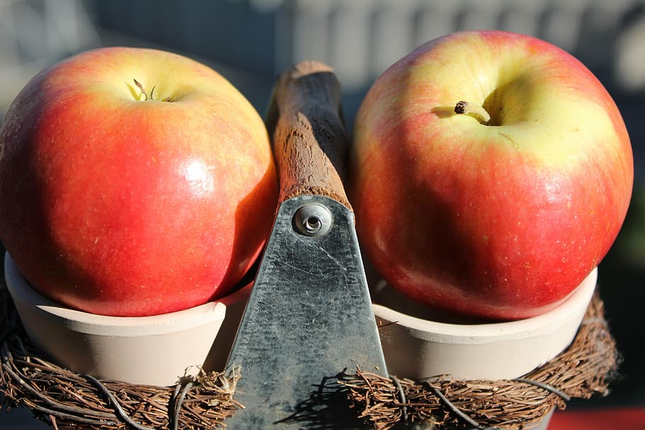 apple, red, nature, food, food and drink, healthy eating, fruit HD wallpaper