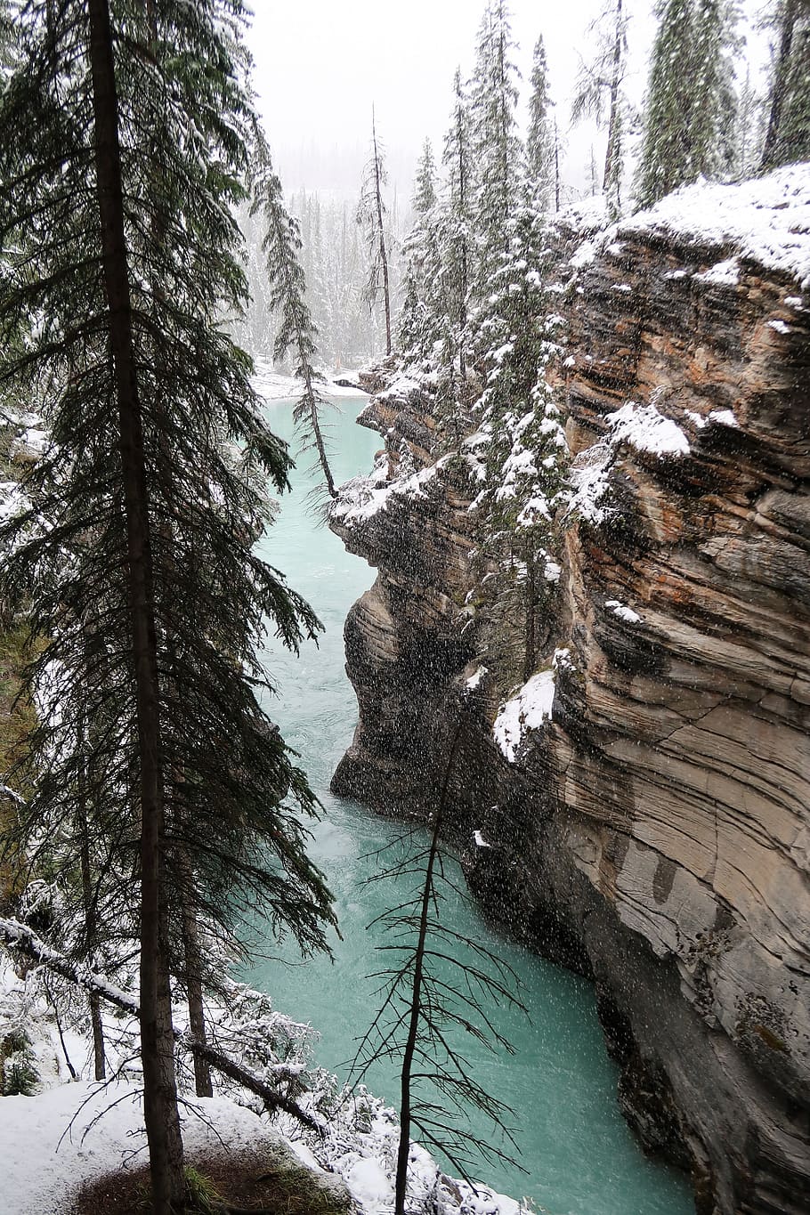 snow landscape, gorge, canada, tree, plant, beauty in nature HD wallpaper
