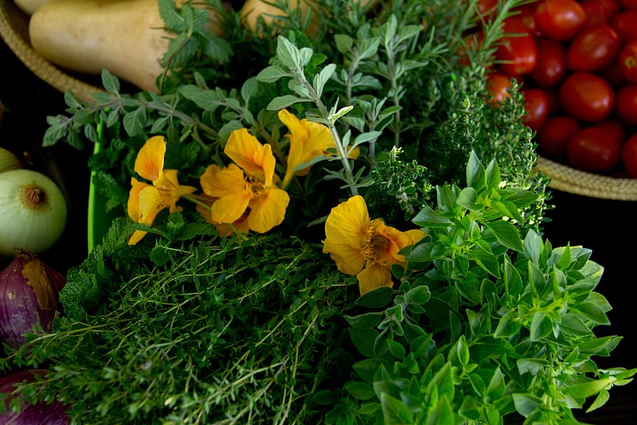 nasturtium, thyme, herbs, vegetable, food, pumpkin, freshness, HD wallpaper