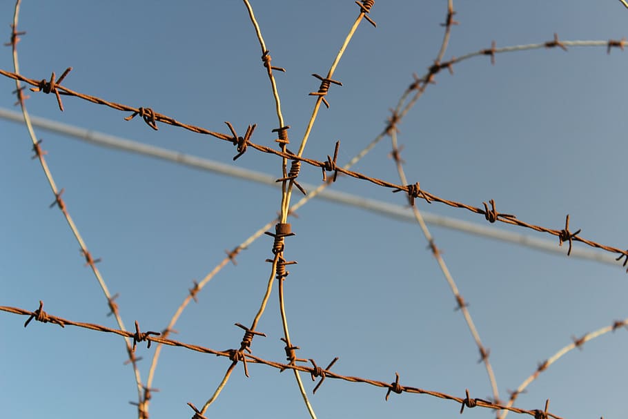 barbed wire, security, thorn, close, fence, protection, danger HD wallpaper