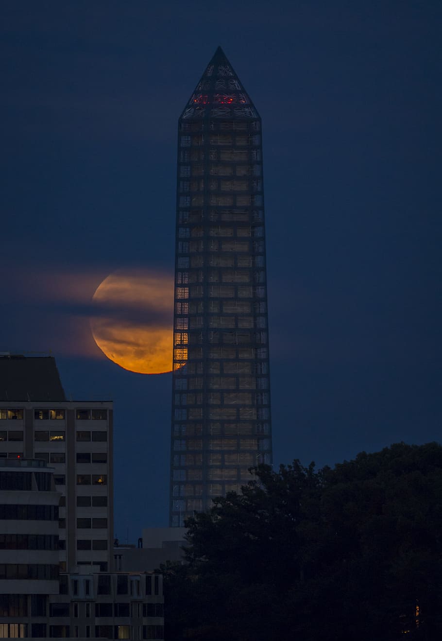 Supermoon, Perigee, Night, full, washington monument, glowing HD wallpaper