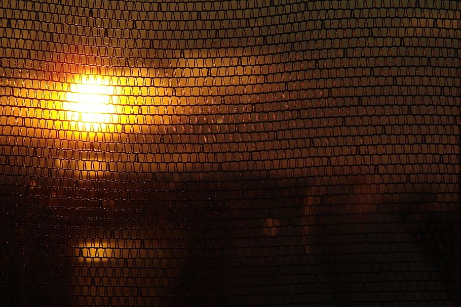 sunset, orange sun, mesh, rays of sun, light, climate, pattern HD wallpaper