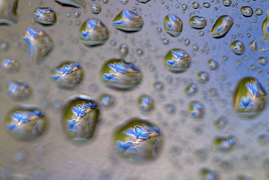 drops, reflection, water, rain, close-up, full frame, backgrounds HD wallpaper
