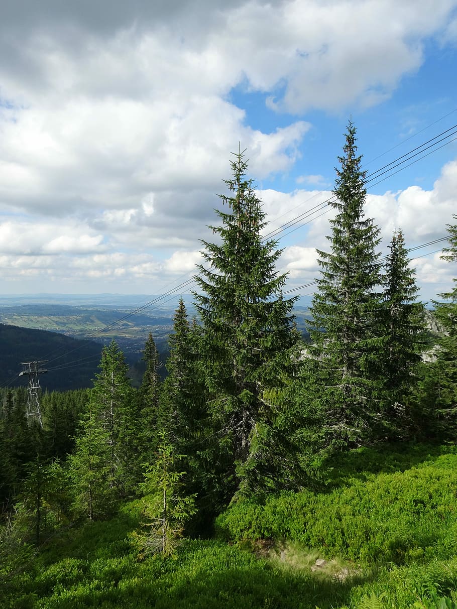 Tatry, Mountains, Tree, Landscape, Trail, poland, cloud - sky HD wallpaper
