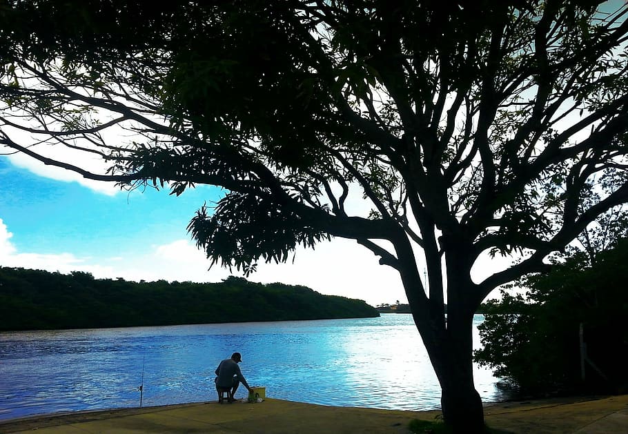 fishery, tree, rio, water, plant, real people, one person, leisure activity HD wallpaper