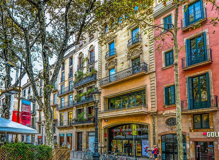 beige and pink concrete buildings, barcelona, spain, facade, tree