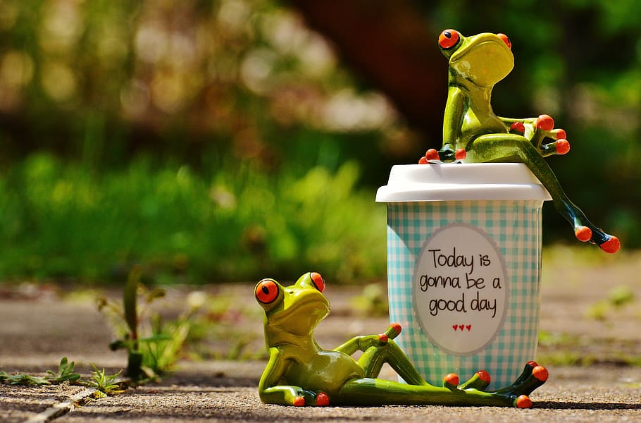 beautiful day, joy, frog, coffee, cup, happy, happiness, start, HD wallpaper