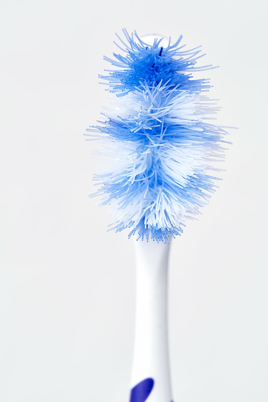 white and blue plastic brush on white surface, toothbrush, head