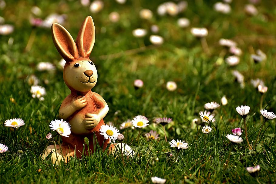 photography of brown rabbit figurine near daisy flowers field during daytime HD wallpaper