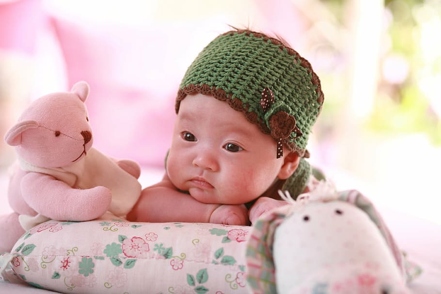 baby wearing green and brown knitted cap near pink teddy bear, HD wallpaper