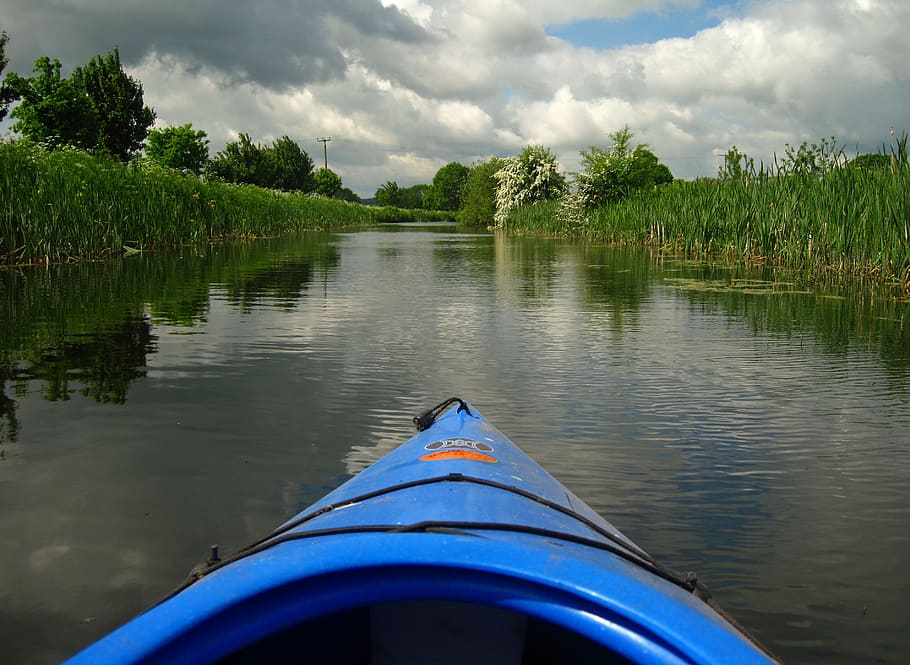 devon, england, british, uk, kayaking, canal, water, plant HD wallpaper