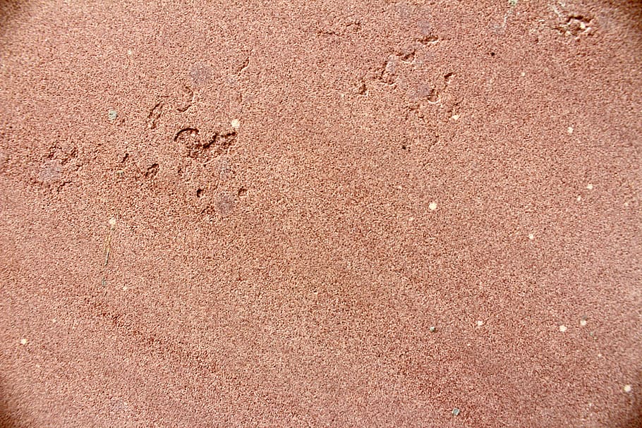 nature, sand, environment, backgrounds, full frame, textured HD wallpaper