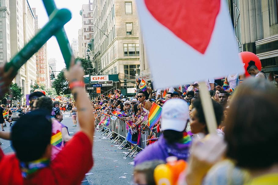 people parade on road at daytime, people holding pride flag on street during daytime HD wallpaper