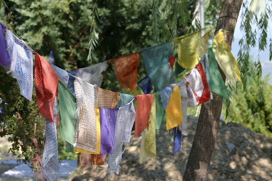 buddhism, prayer flags, tibetan, colors, fabrics, textiles, HD wallpaper