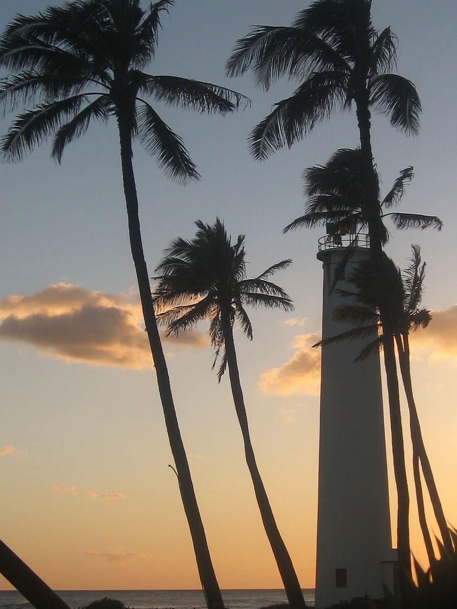 sunset, palms, lighthouse, hawaii, maritime, landscape, coast HD wallpaper