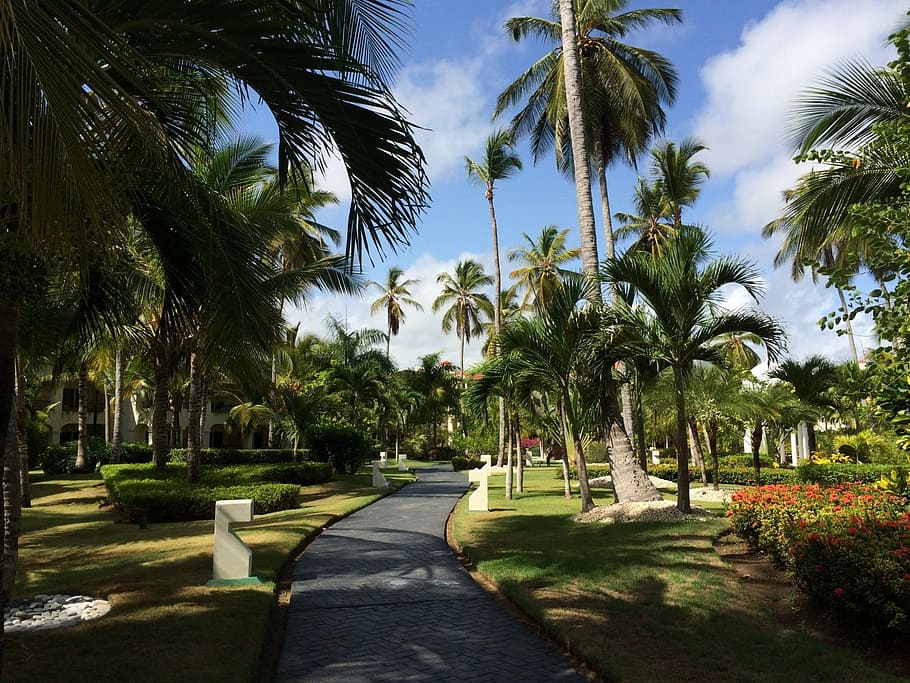 Flower Garden, Flowers, Resort, punta cana, dominican republic