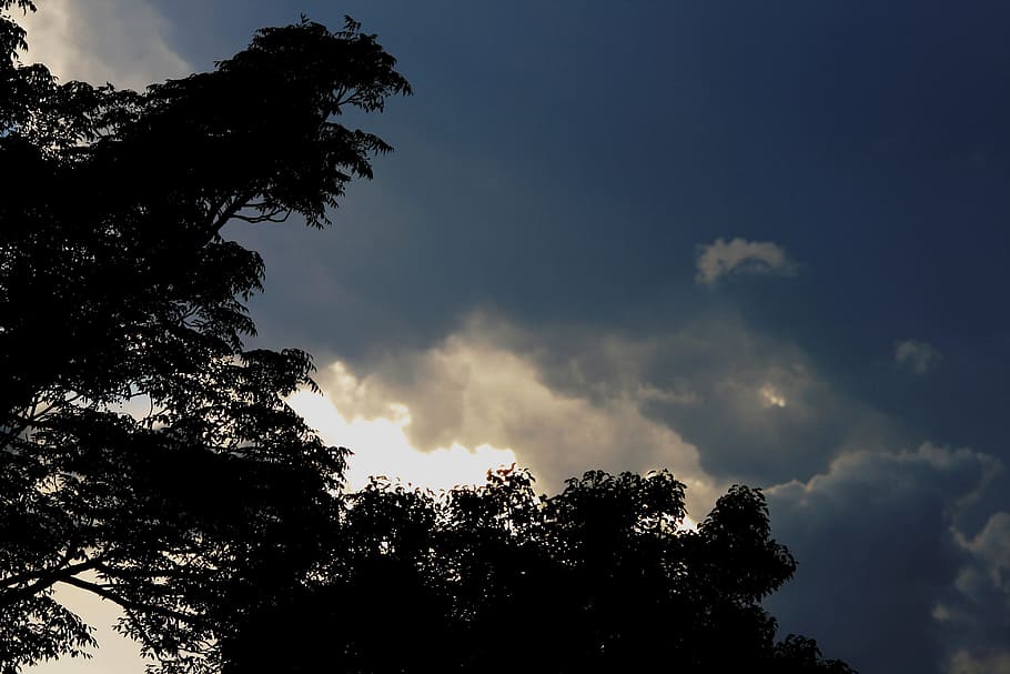 Sky, Clouds, Dark, Layered, Sunset, light, blues, tree, nature HD wallpaper