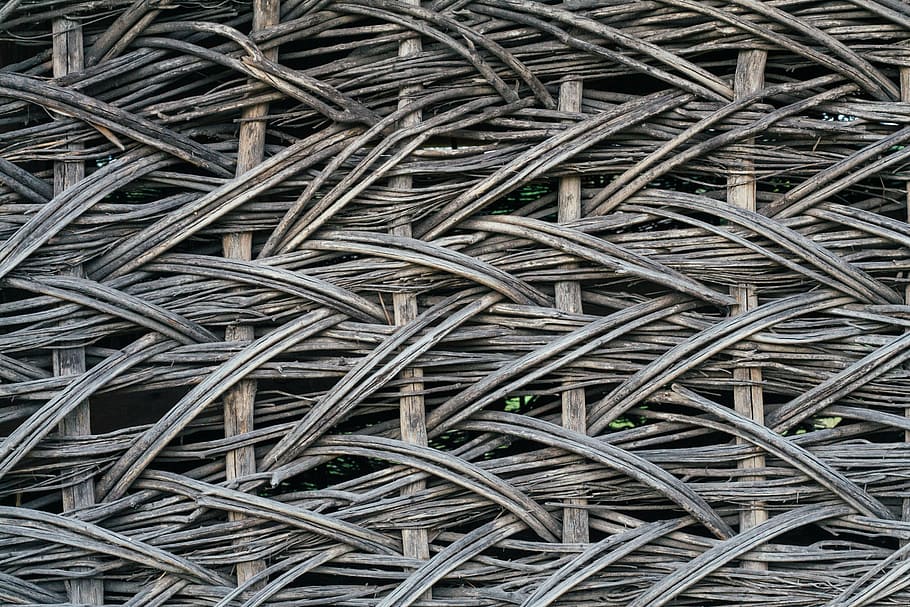 tree, weaving, summer, traditional, laža, loza, fence, jimmy x rose HD wallpaper