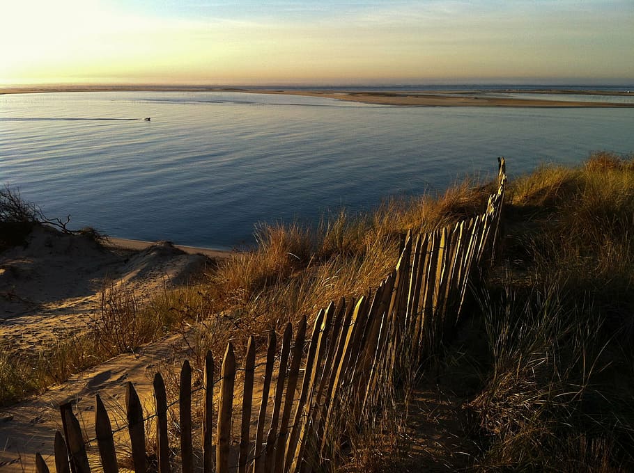 pyla dune, wooden palisade, dune ridge, summer, water, tranquility, HD wallpaper
