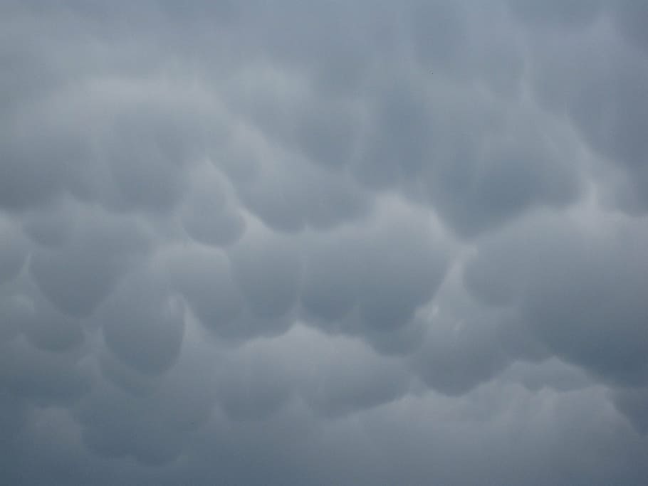 clouds, puffy, white, cumulus, cloudscape, abstract, nature HD wallpaper