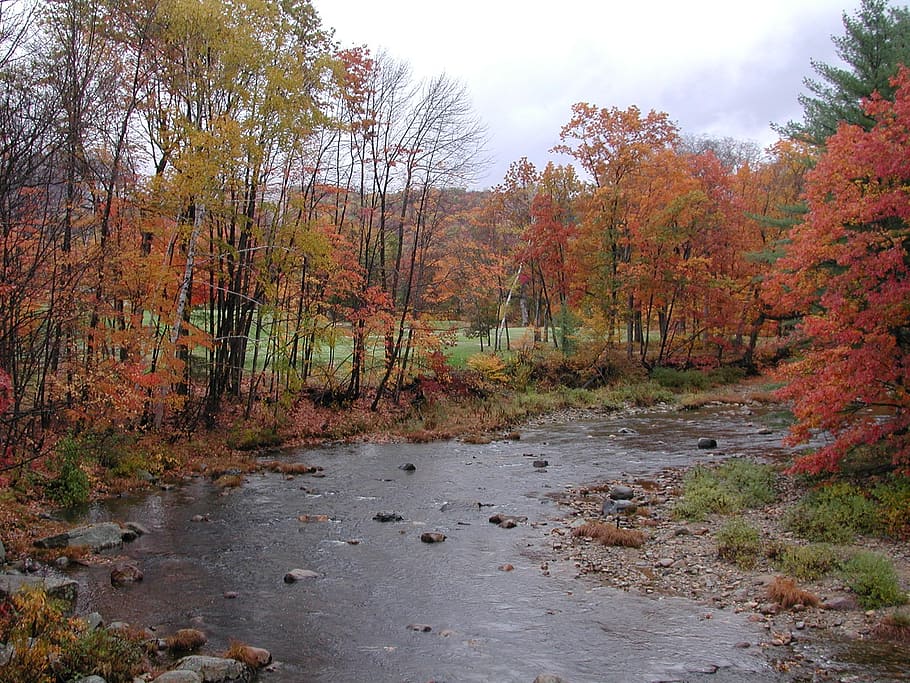 new hampshire, jackson, stream, brook, fall colors, autumn, HD wallpaper