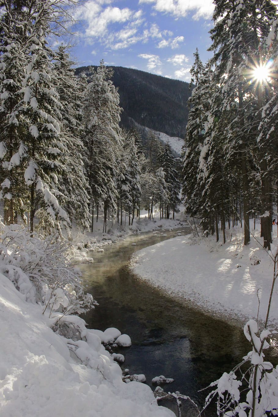 Bach, Wintry, Water, snow, deep snow, cold, nature, landscape HD wallpaper