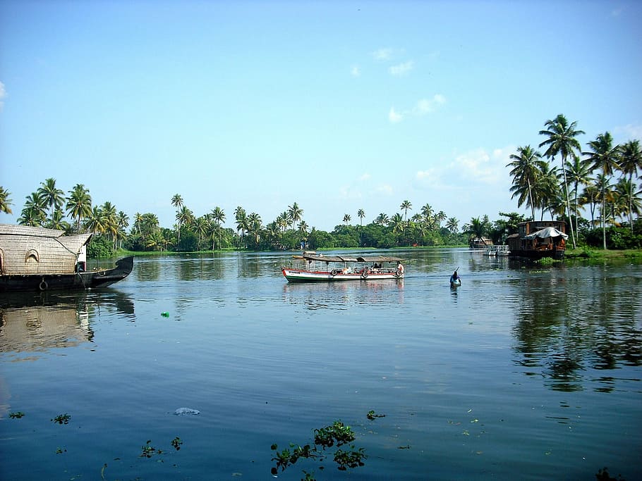 kerala, south india, backwaters, boat, houseboat, tree, sky, HD wallpaper