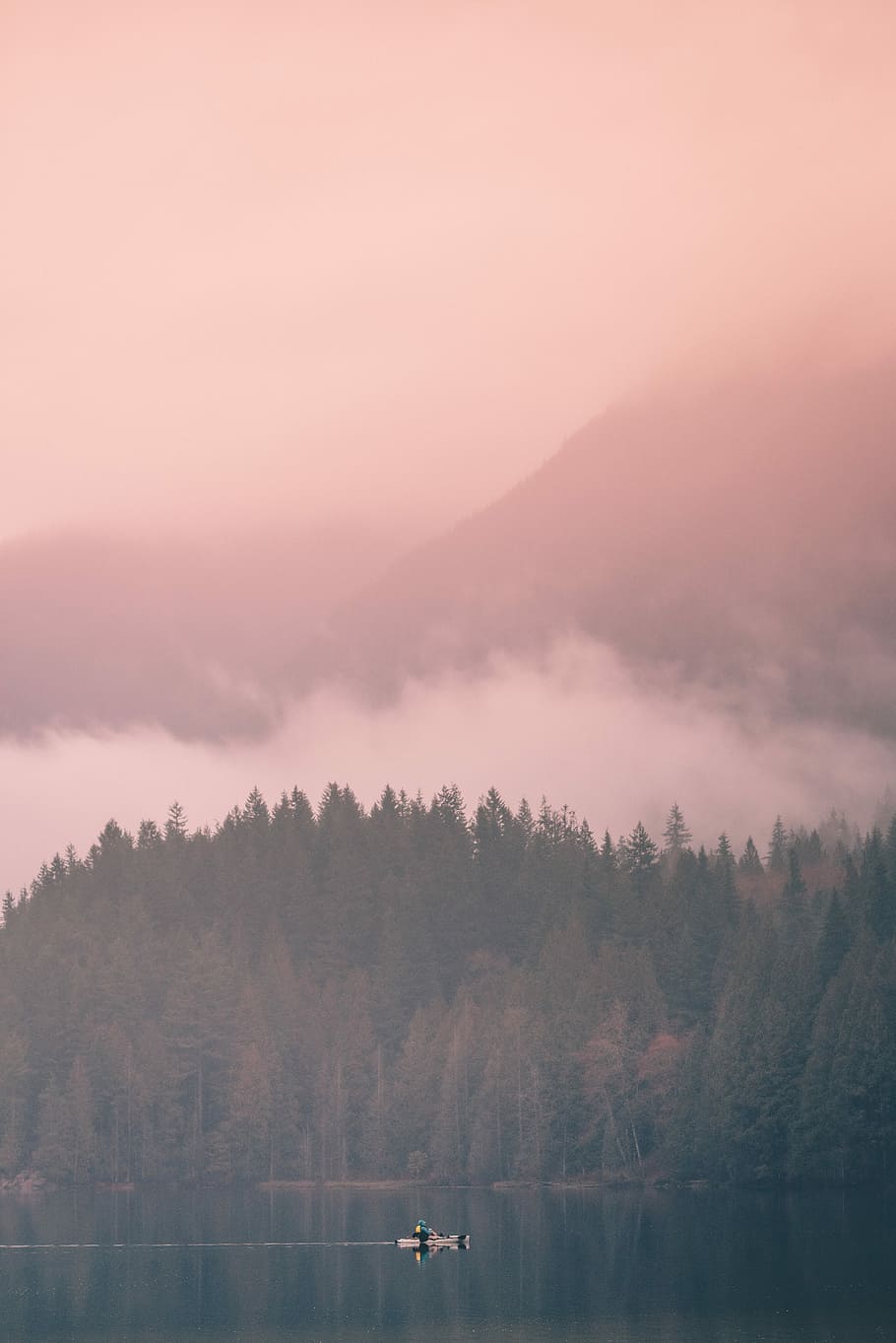 aerial photography of lake and forest, body of water with green trees during fog HD wallpaper