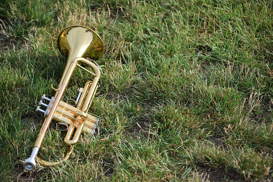 brass trumpet on grass, music, musical instruments, horns, band