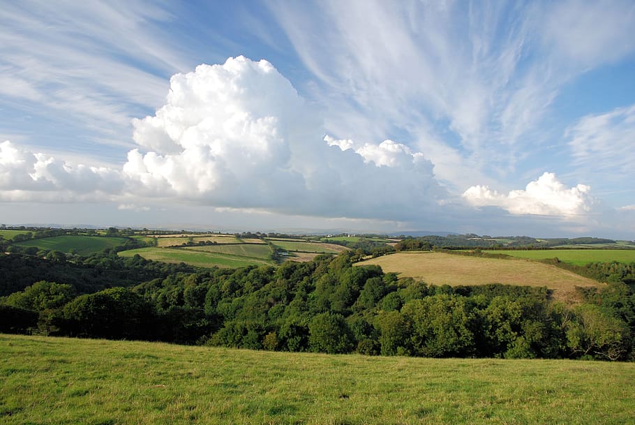 trees and grass under blue sky, summer, england, clouds, landscape HD wallpaper