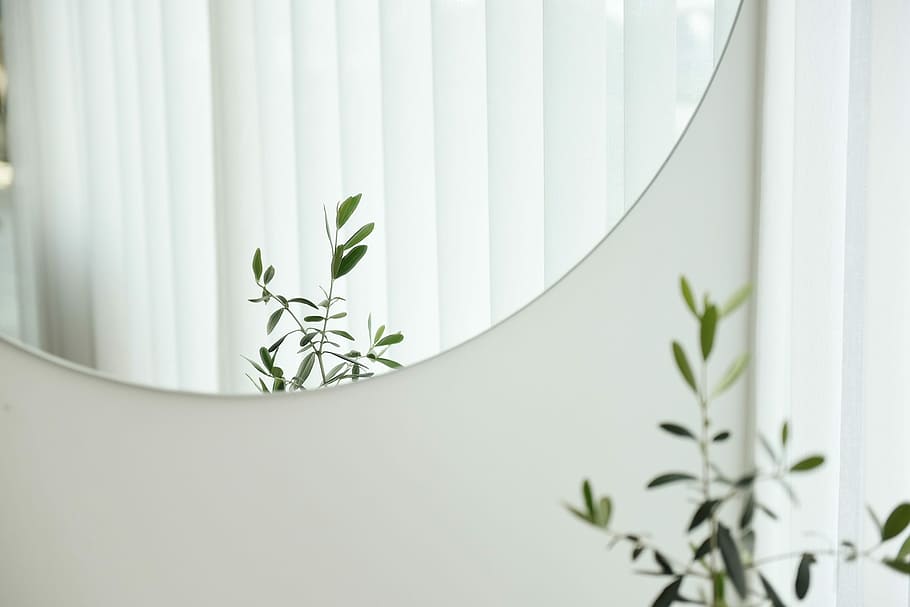 green leafed plant, untitled, mirror, reflection, white, blinds HD wallpaper