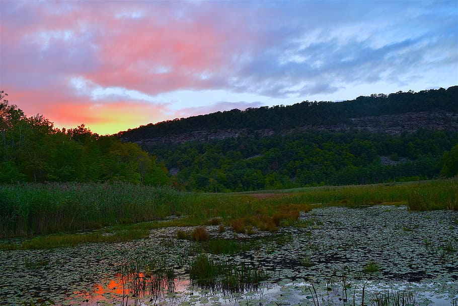 pond, sunset, sky, red, color, nature, water, landscape, reflection HD wallpaper