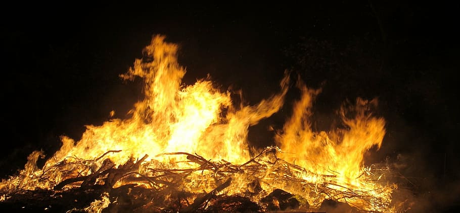 fire, burn, flame, wood, burning, fire - natural phenomenon HD wallpaper