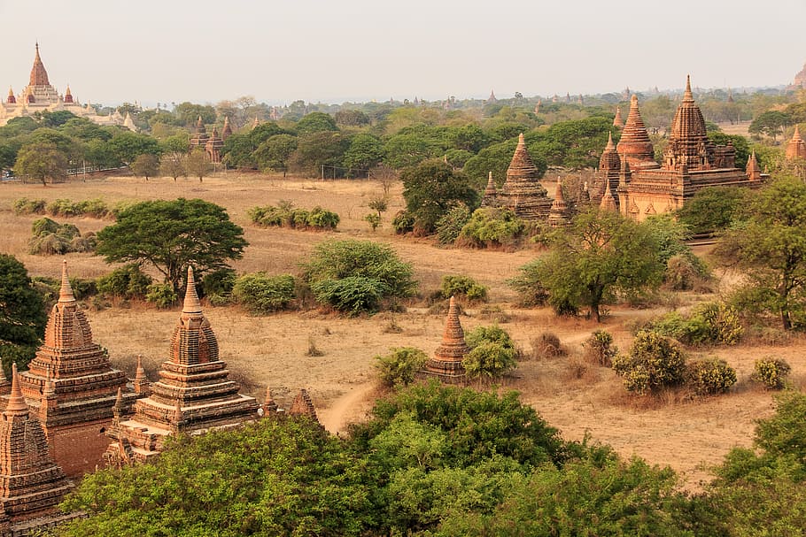 landmark surrounded by trees, burma, myanmar, travel, asia, tourism, HD wallpaper
