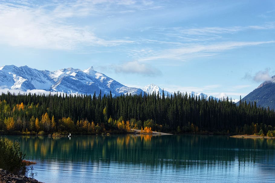 lake surrounded by trees during daytime, landscape photography of boat on body of water in front of pine trees near mountain alps HD wallpaper