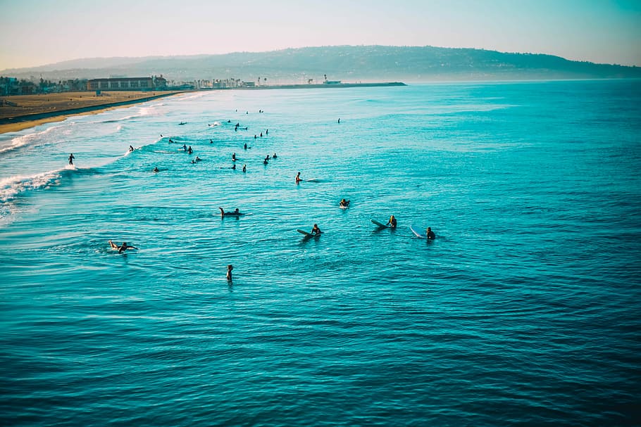 people swimming on the sea, aerial view of group of people in body of water HD wallpaper