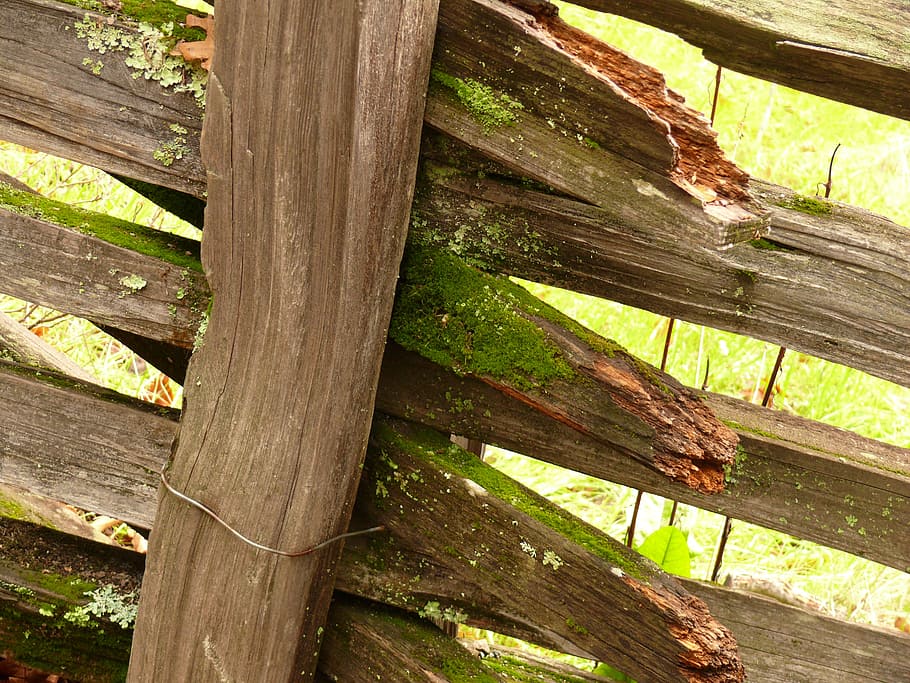 fence, wood, old, moss, california, countryside, green, brown HD wallpaper