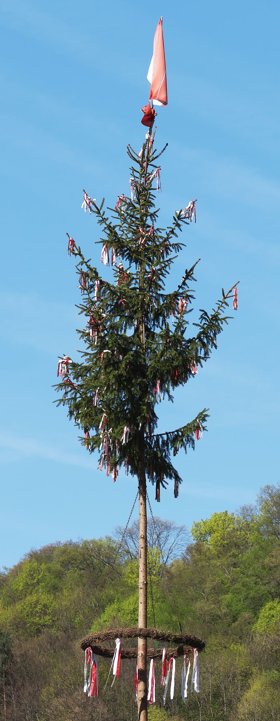 maypole, custom, tribe, decorated, great, tree top, conifer HD wallpaper