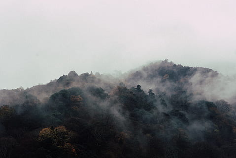 mountain, landscape, peak, summit, trees, pines, view, aesthetic HD wallpaper