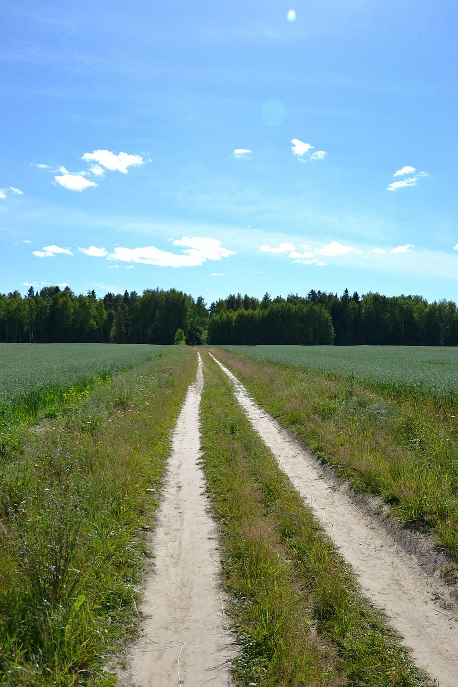 road, nature, the way, sky, plant, cloud - sky, direction, the way forward HD wallpaper