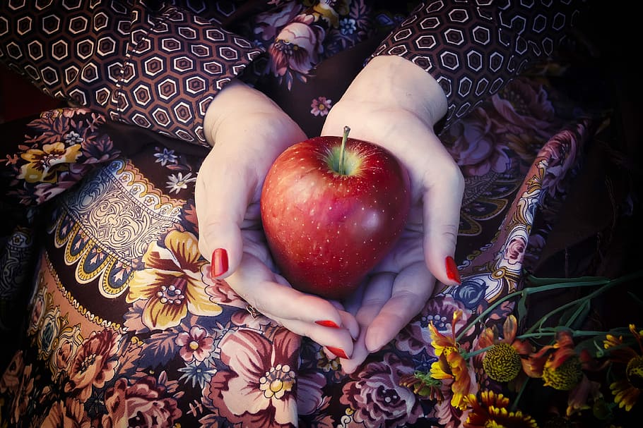 person holding red apple fruit, palm, hands, ripe, harvest HD wallpaper