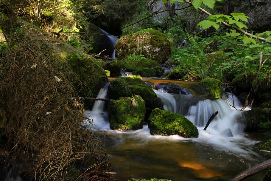 Rock, Moss, Bach, Water, Nature, Stone, fouling, forest, idyllic HD wallpaper