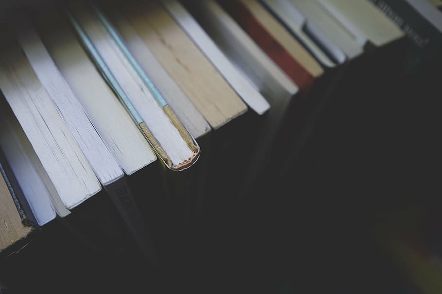 closeup photo of books, education, knowledge, library, literature HD wallpaper
