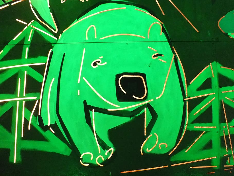 graffiti, neon, the bear, czech republic, green color, art and craft HD wallpaper